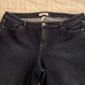 Lane Bryant stretch blue jeans